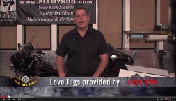 FIX MY HOG – SEE WHAT THIS HIGHLY REGARDED DO-IT-YOURSELFER BLOG THINKS ABOUT LOVE JUGS.
